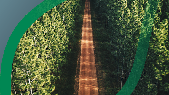 Forestry Weed Management Solutions