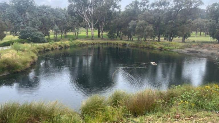 Dam after flumioxazin herbicide treatment