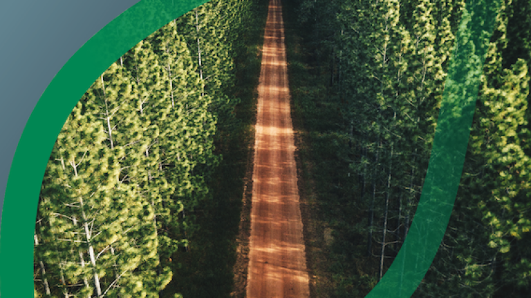 Forestry Weed Management Solutions