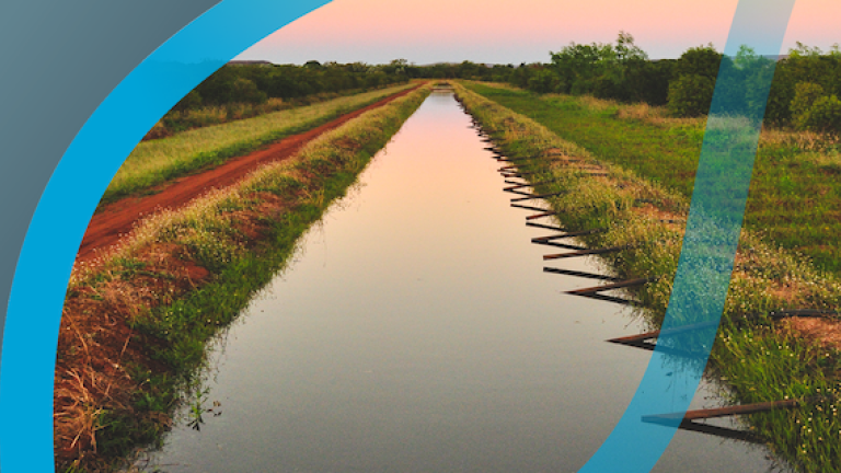 Aquatic Weed Management Solutions